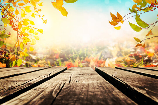 Wooden table with autumn leaves background, Multicolored leafs in sunny fall afternoon 