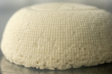 Close up view of a round piece of tender white cheese