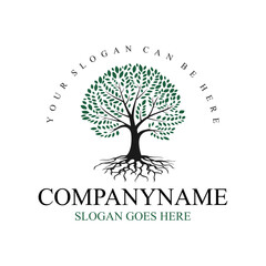 Obraz premium Tree with roots logo vector image