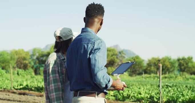 Innovation, technology and futurist farming with farmers watching a drone and discussing an idea. Young man and woman partner collaboration goal for sustainable farming, testing app on an open field