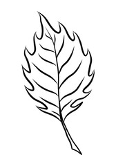 Obraz premium BLACK VECTOR ILLUSTRATION OF A LEAF ISOLATED ON A WHITE BACKGROUND