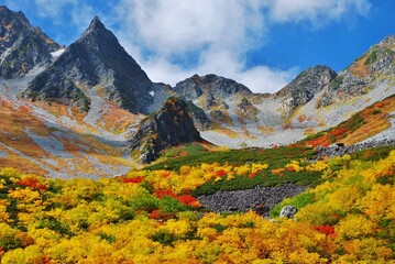 盛秋の北アルプス 涸沢カール