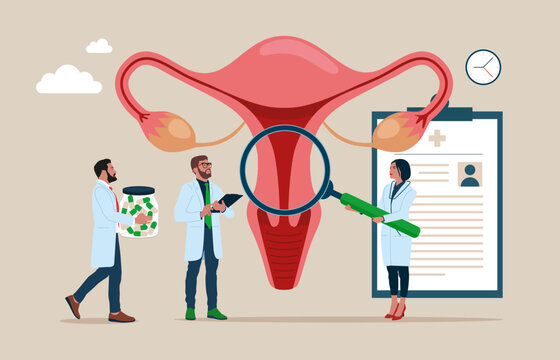 Medical specialists studying donor inner organ. Female doctor using magnifier to check uterus. Abstract concept of gynaecology and female health. Vector illustration