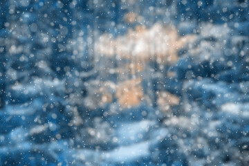 Obraz na płótnie Canvas blurred winter forest