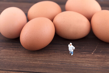 Miniature World Eggs and Chefs