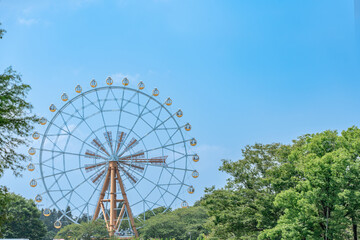 Fototapeta premium 観覧車のある遊園地