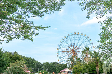 Fototapeta premium 観覧車のある遊園地