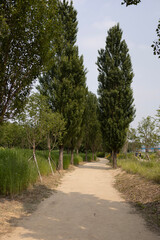 path in the Seoul Hangang Park