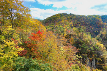 鳴子峡の紅葉　宮城県