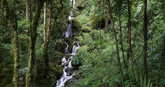 Waterfall on small wild mountain river, long exposure. Stunning landscape of wilderness and pure nature. San Gerardo de Dota, Costa Rica.