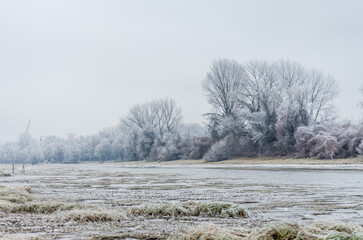 Danube Island Sodros near Novi Sad, Serbia. Gray and white landscape with frozen water.