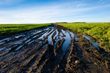 View of a dirty bad road