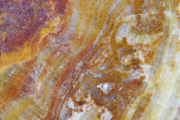 Abstract texture for the background 