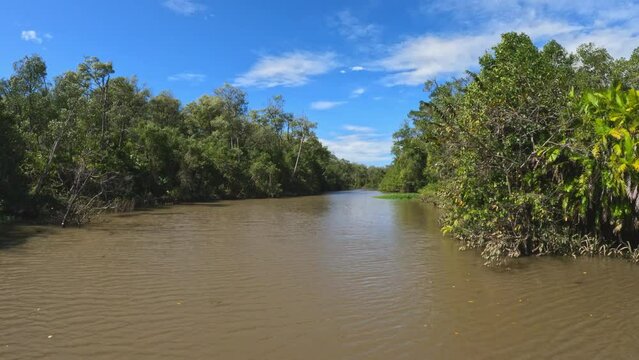 Boat moving through the Tempisque River with beautiful landscape of rainforest , POV view from boat in Guanacaste region. Costa Rica