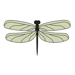 Green pastel wings dragonfly top view isolated
