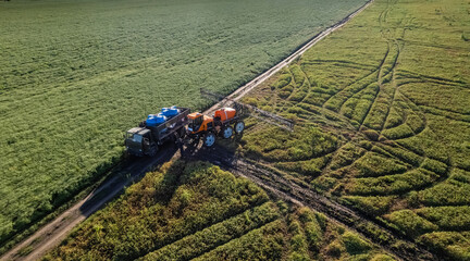 Plant processing workflow in the field
