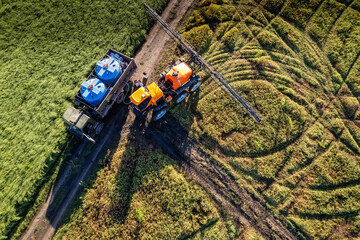 Plant processing workflow in the field