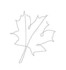 Obraz premium line art maple leaves. outline vector. Autumn leaf one line illustration.