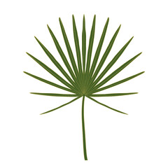 Green leaves with golden line border.