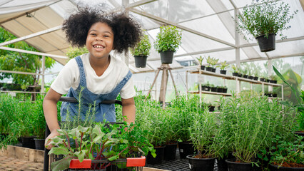 African kid is choosing herb plant from the local garden center shop nursery with shopping cart ....