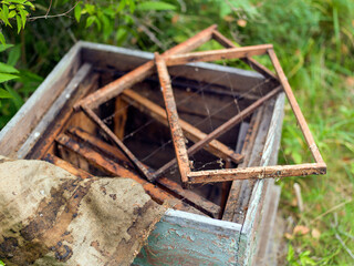 abandoned or damaged hive