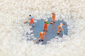 Miniature photography collection of fresh rice