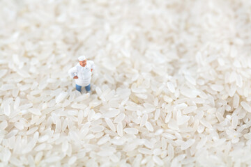 miniature chef on white rice