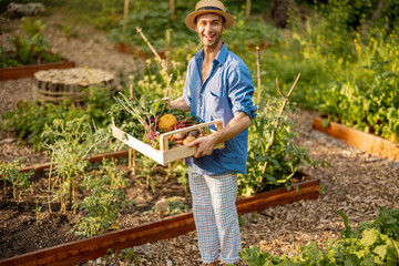 Portrait of young male farmer holds box of freshly picked vegetables while standing at local farmland. Concept of organic food grown and sustanable lifestyle