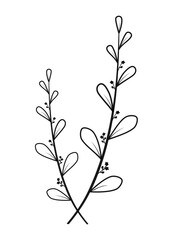 PNG. Black color doodle organic line art flower and leaf.