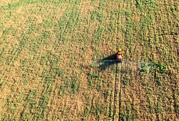 Plant processing workflow in the field