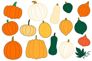 Pumpkin and squash collection for Halloween or thanksgiving design, fall season set, autumn ornament, home decoration, party background, wallpaper art, cute illustration, DIY craft, cool food vector