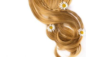 Long golden blond curly hair with chamomile isolated on white background. A part of blond hair for design.