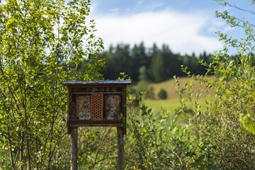 A wild bee house in the middle of a nature reserve.