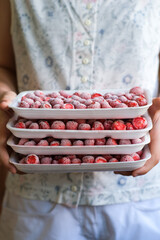 Frozen strawberries in plastic trays in the hands. Preparations for the winter. Organization of the kitchen space. Eco friendly. Zero waste. Simple food template. Storage, cooling and freezing. 