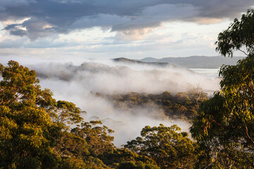 Mist and fog in mountains of central coast NSW australia