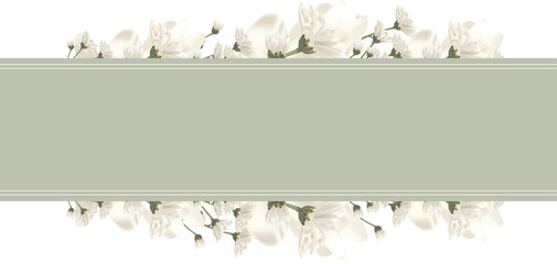 White and green banner or frame with white flower. Nature banner. Flower frame template. White floral frame banner temlate.