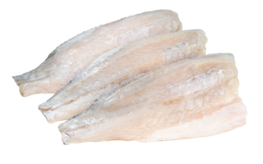 Fresh white striped bass fish isolated on white background, White striped bass fish isolated on white with clipping path.
