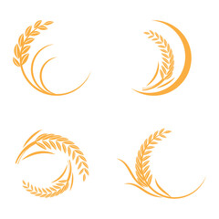 Wheat Logo template vector illustration design
