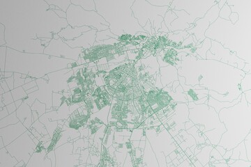 Map of the streets of Fez (Morocco) made with green lines on white paper. 3d render, illustration