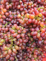 Red seedless grapes, Nature background. 