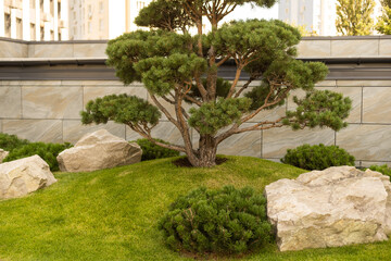 Beauiful outdoors gardening decoration near modern office building, outdoor gardening image for corporate buildings concept.