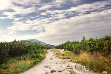 trail on a ridge in the Polish mountains