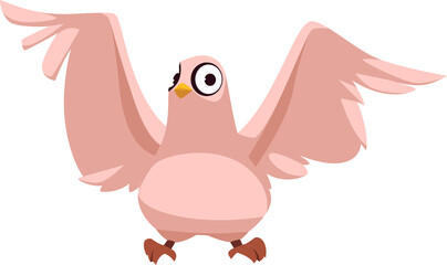 Beautiful flying pigeon