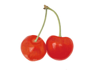 さくらんぼ（透過PNG）