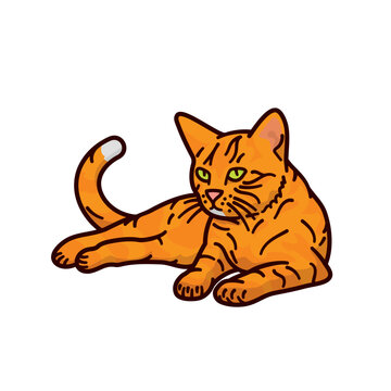 Isolated orange colored cat vector illustration for Ginger Cat Appreciation Day Day on September 1st. Filled outline cartoon style.