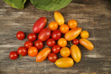 Red and yellow tomatoes on dark wooden surface