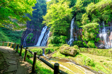 Fototapeta premium 夏の白水の滝 大分県竹田市 Shiramizu Waterfall in Summer. Ooita-ken Takeda city.