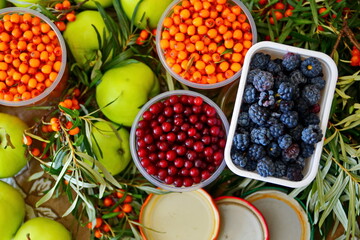 Berry and fruit background with autumn stocks still-life. Sea buckthorn, bird cherry, blackberries in jars between twigs and ripe green apples. Top view, flat lay 