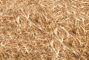 bundle of straw