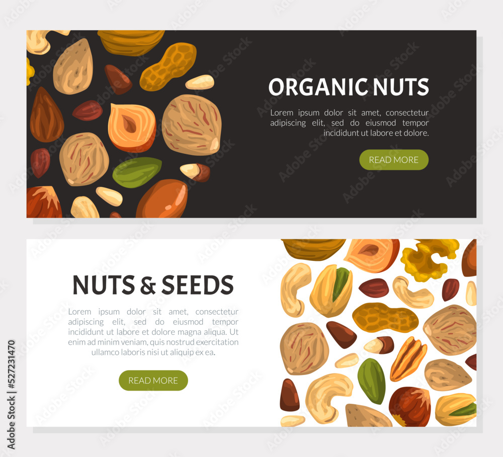 Aufkleber landing page with nuts and seeds vector web banner template